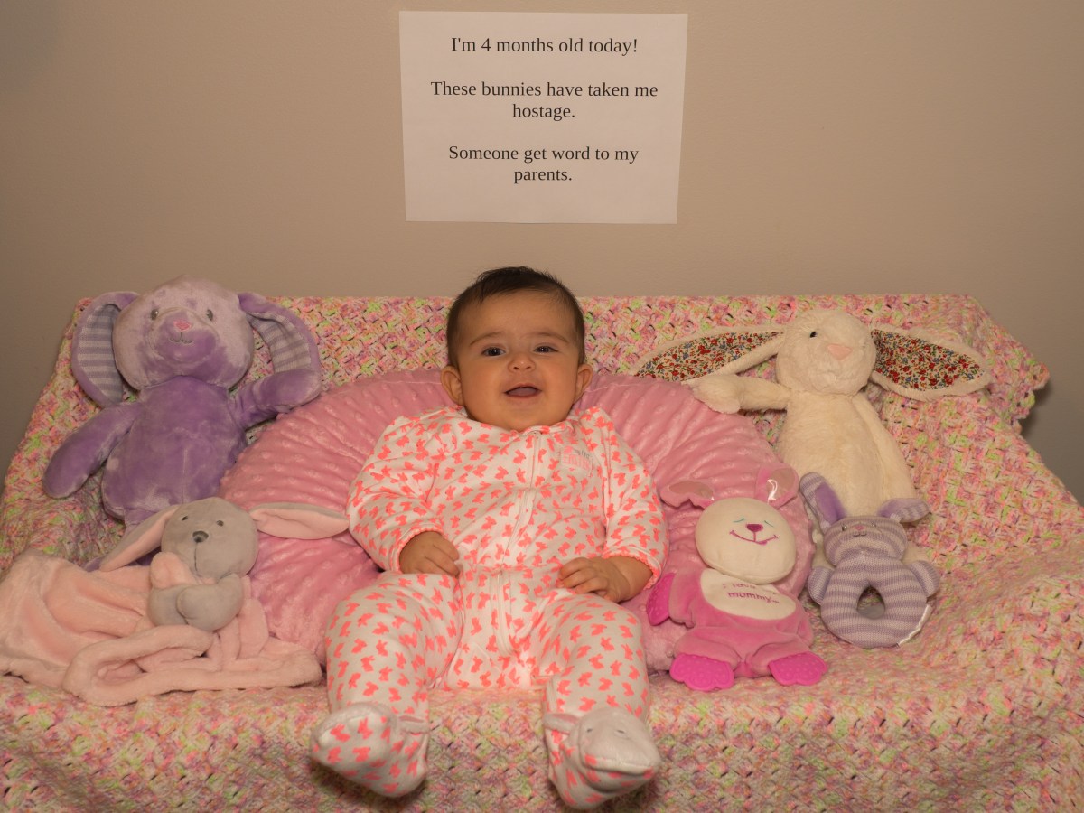 The one where I turn four months&nbsp;old….