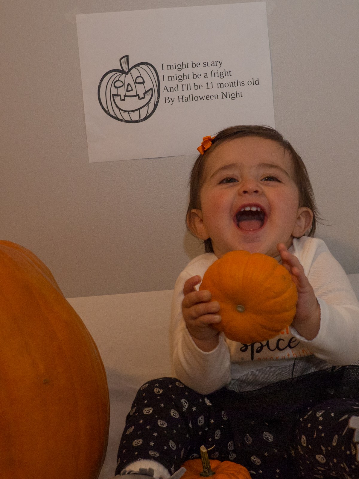 The one where I turn 11 months&nbsp;old…